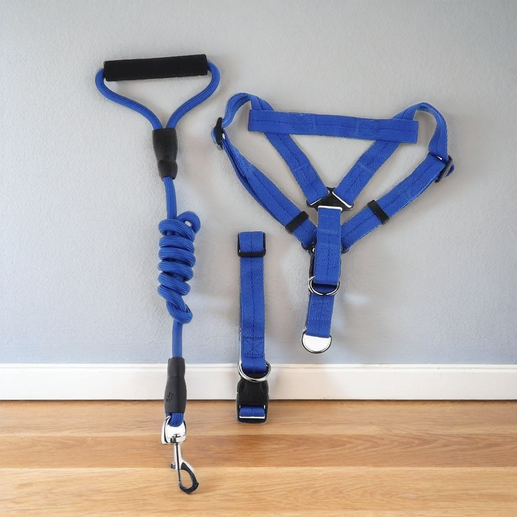 1 inch - Harness, Walking Rope and Collar belt Combo