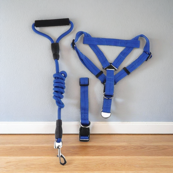 1 inch - Harness, Walking Rope and Collar belt Combo