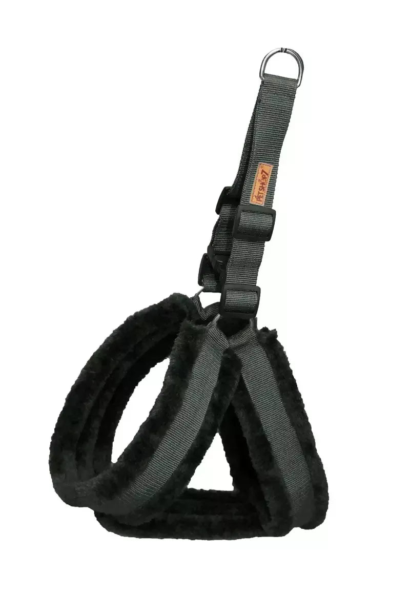 1726722669634__1726722669274__Harness