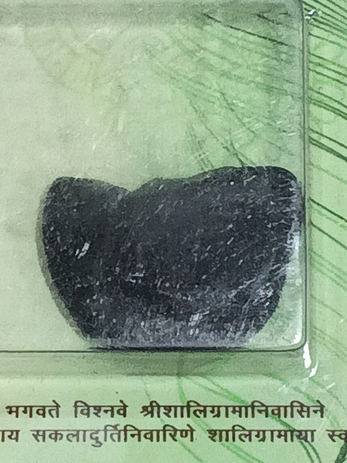 Mahalaxmi Shaligram – Sacred Lakshmi-Vishnu Salagrama Shila for Wealth, Prosperity & Divine Blessings