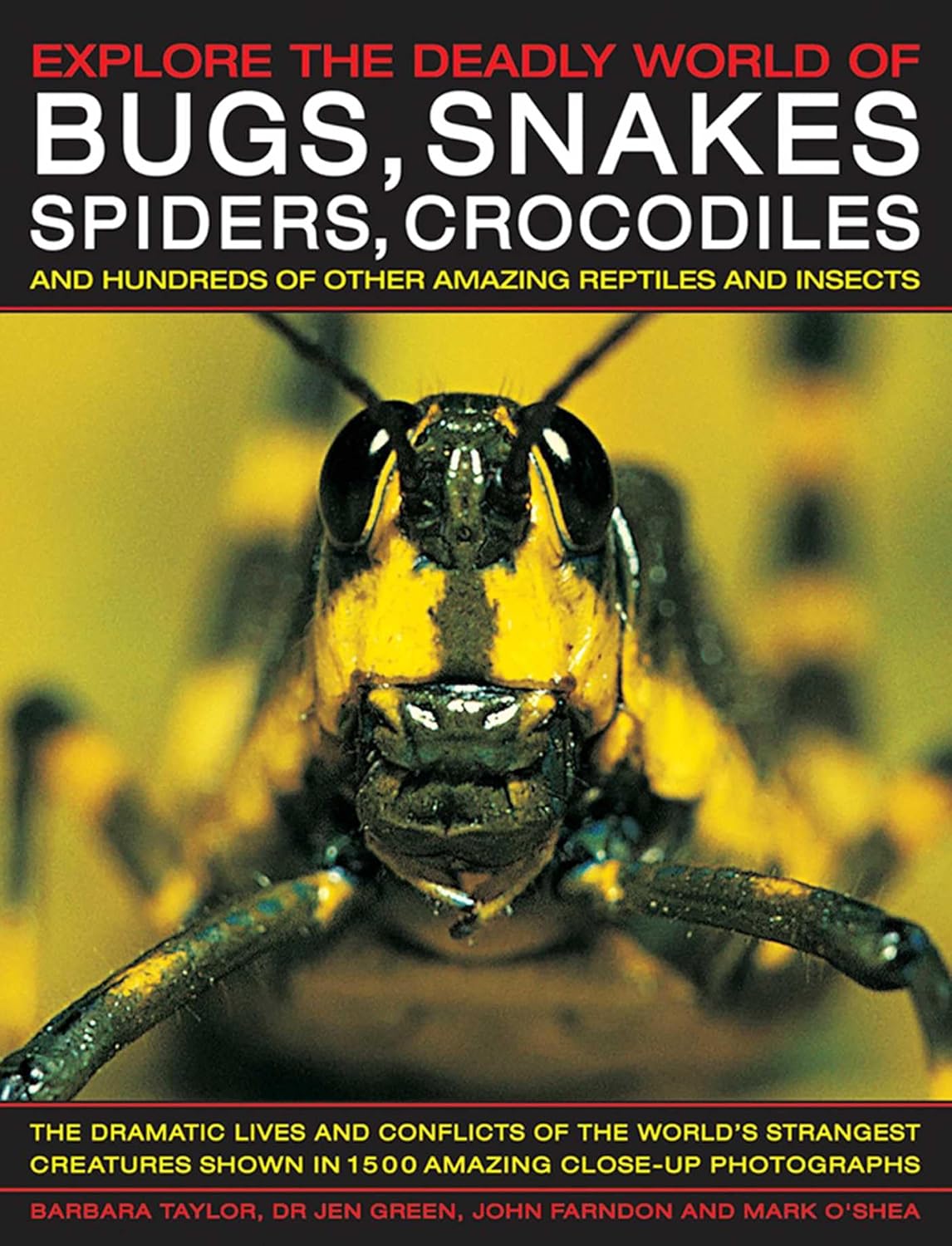 Explore the Deadly World of Bugs, Snakes, Spiders and Crocodiles: The Dramatic ... Om Books International