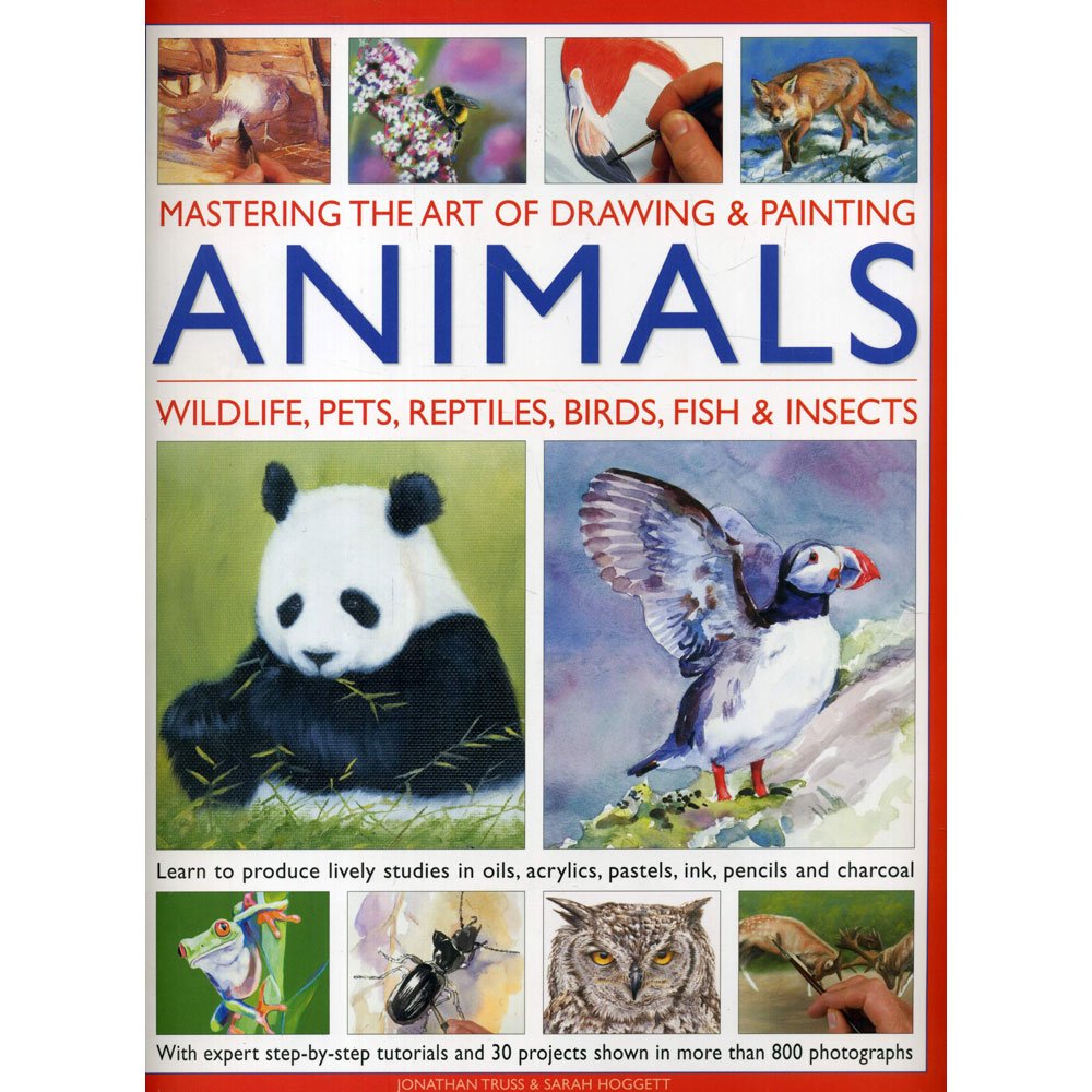 Mastering Art Of Drawing & Painting Animals Om Books International