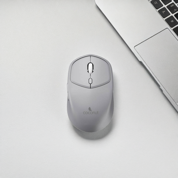 Coconut Jade Wireless Mouse + Bluetooth(Grey)