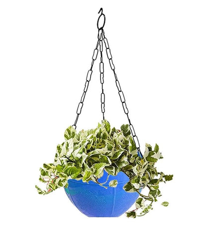 Hanging Flower Pot with Chain Garden & Balcony Decor