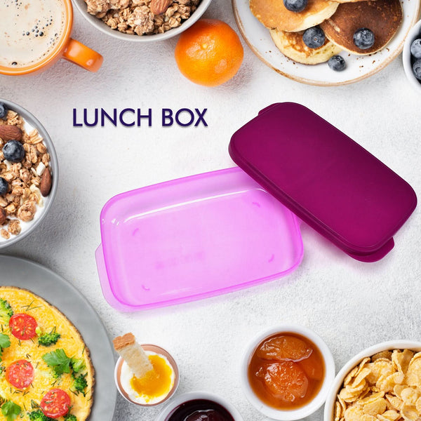 Unbreakable BPA-Free Plastic Lunch Box with Spoon
