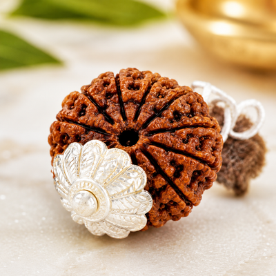 10 Mukhi Rudraksha Bead – Vishnu Blessing Sacred Natural Rudraksha