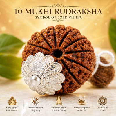 10 Mukhi Rudraksha Bead – Vishnu Blessing Sacred Natural Rudraksha