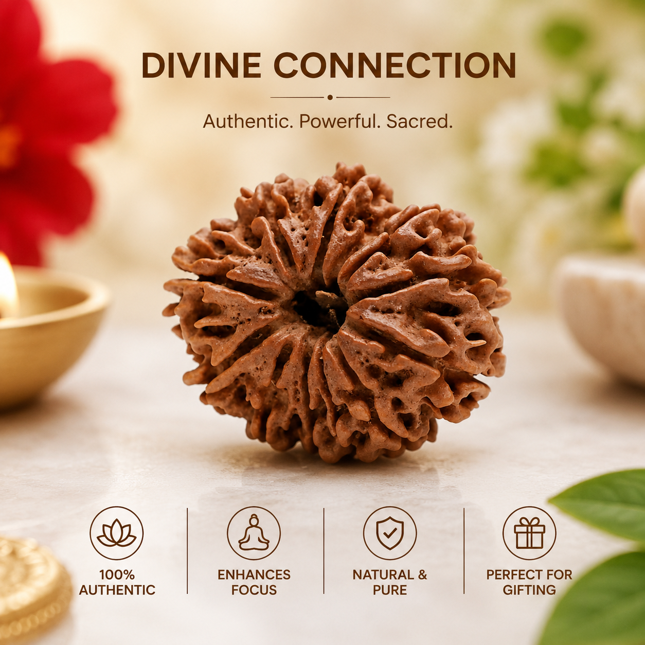 12 Mukhi Rudraksha (Twelve-Faced Sacred Rudraksha Bead)