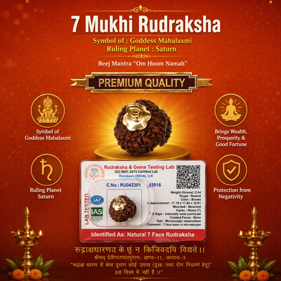 Premium 7 Mukhi Rudraksha Bead for Wealth & Stability