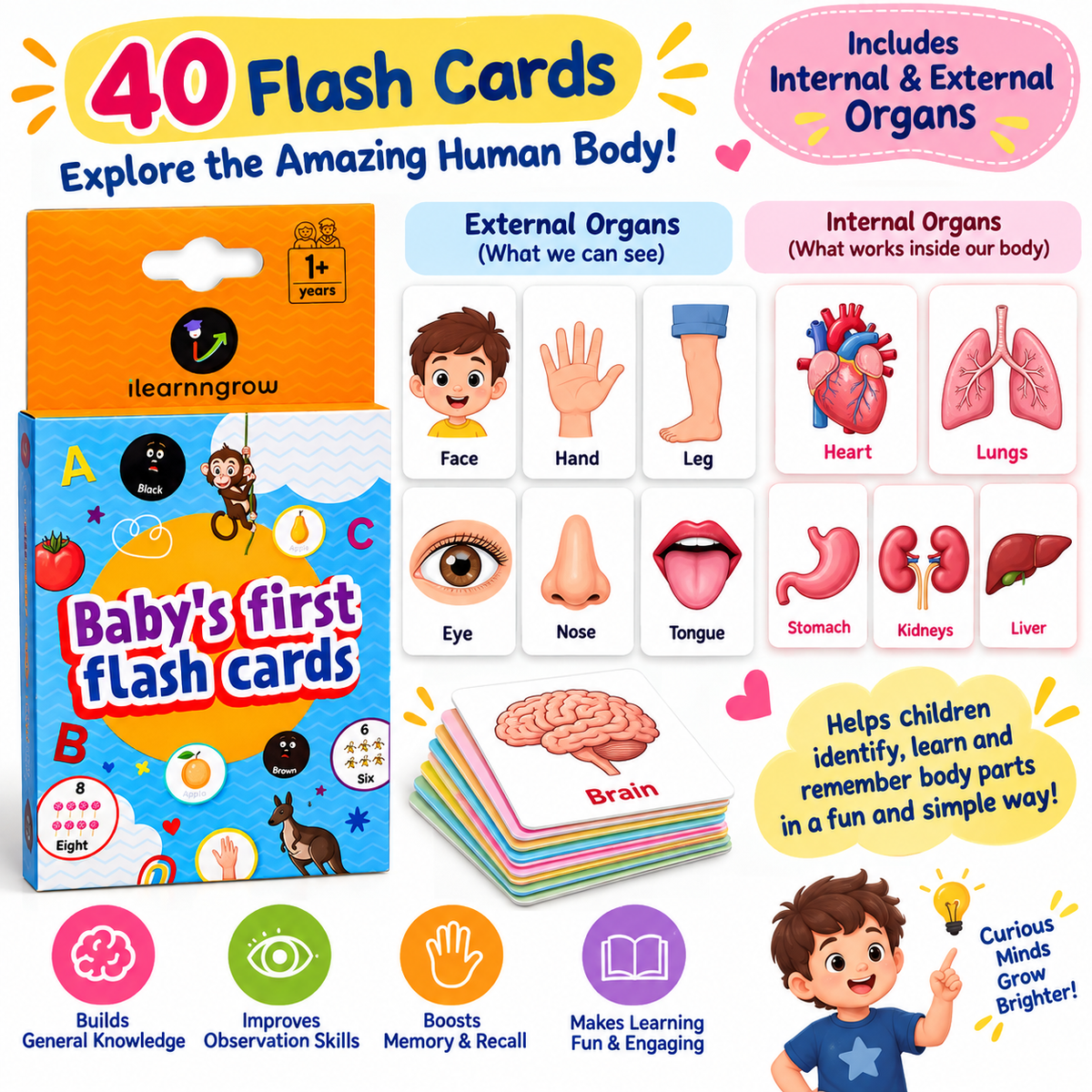 ilearnngrow Body Parts Flash Card