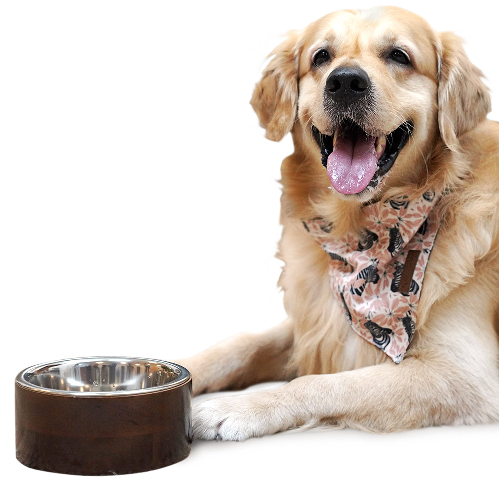 HUFT Jungle Collection Savanna's Dazzle Reversible Dog Bandana - Heads Up For Tails