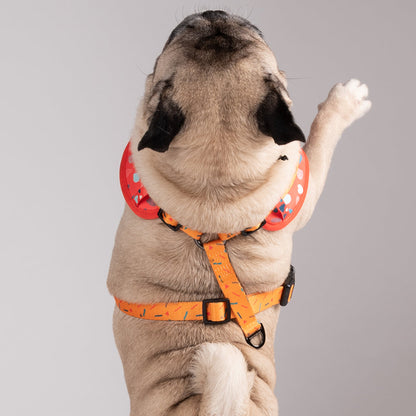 HUFT Endless Joy Printed Harness - Heads Up For Tails