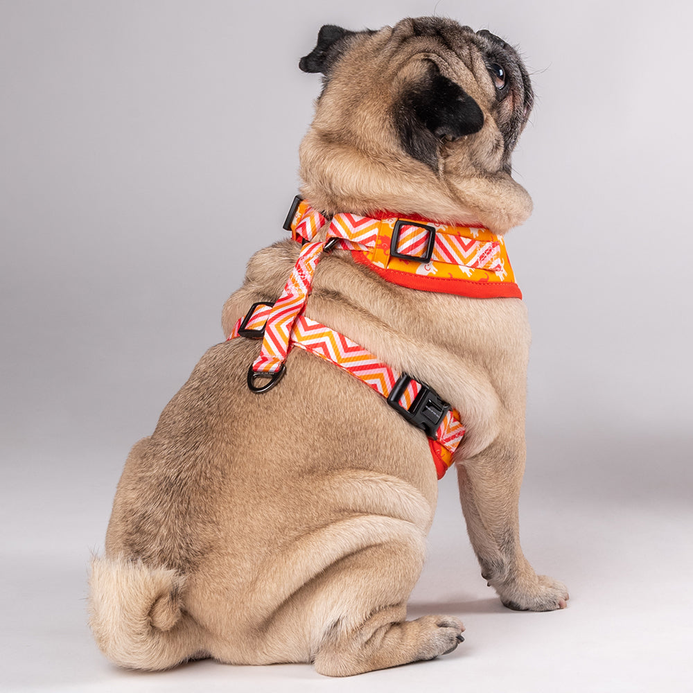 HUFT Summer Legacy Printed Harness - Heads Up For Tails