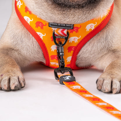 HUFT Summer Legacy Printed Harness - Heads Up For Tails
