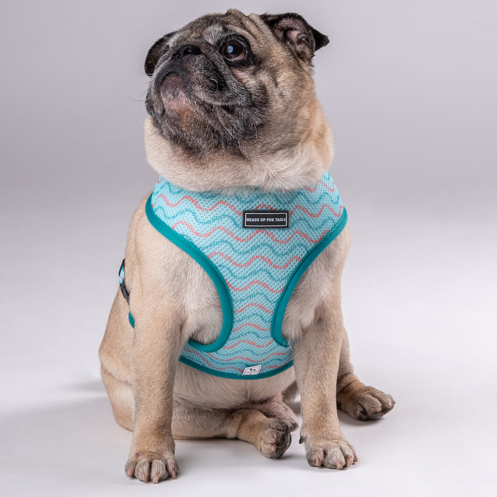 HUFT Verdant Reversible Printed Harness - Heads Up For Tails