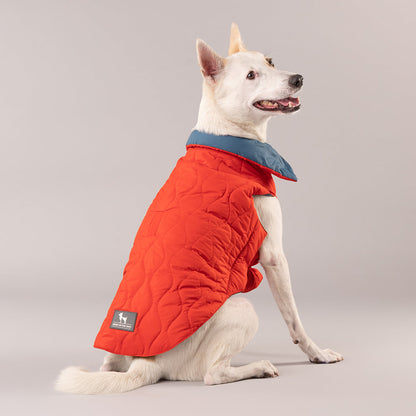 HUFT Cosy Pupper Reversible Dog Jacket- Spicy Orange - Heads Up For Tails