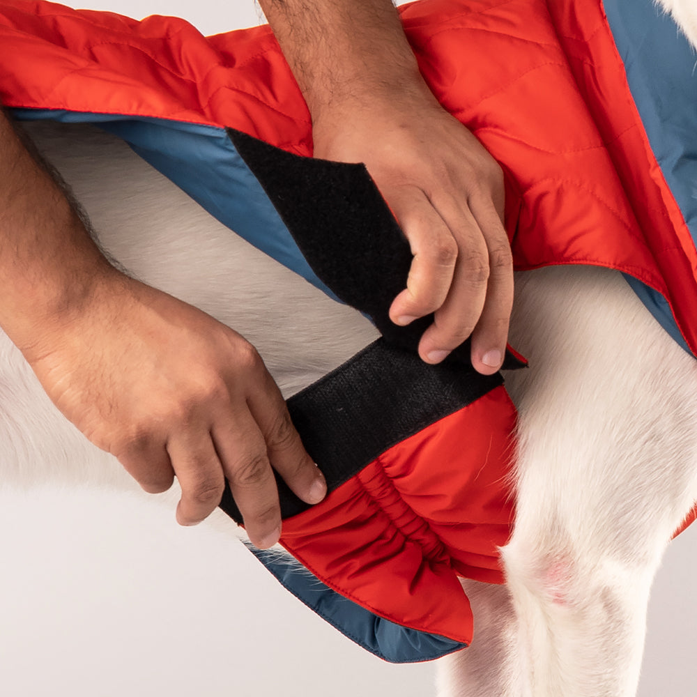 HUFT Cosy Pupper Reversible Dog Jacket- Spicy Orange - Heads Up For Tails