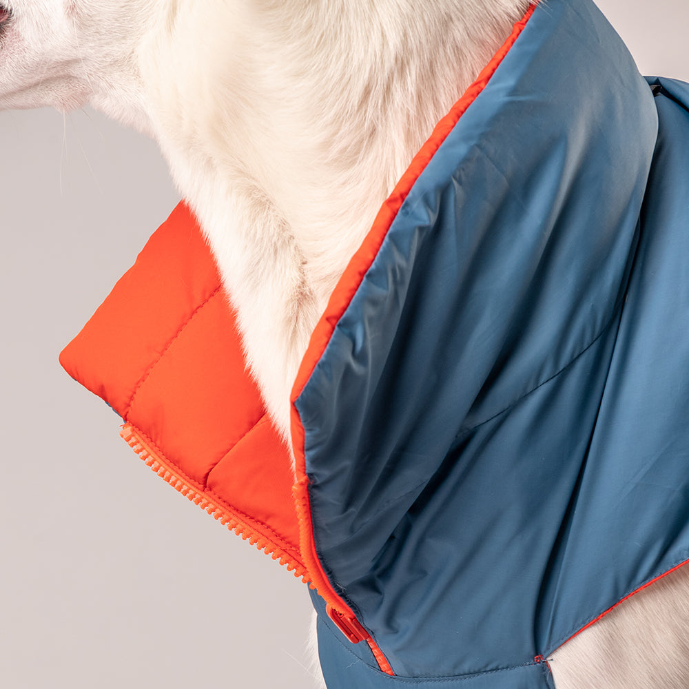 HUFT Cosy Pupper Reversible Dog Jacket- Spicy Orange - Heads Up For Tails