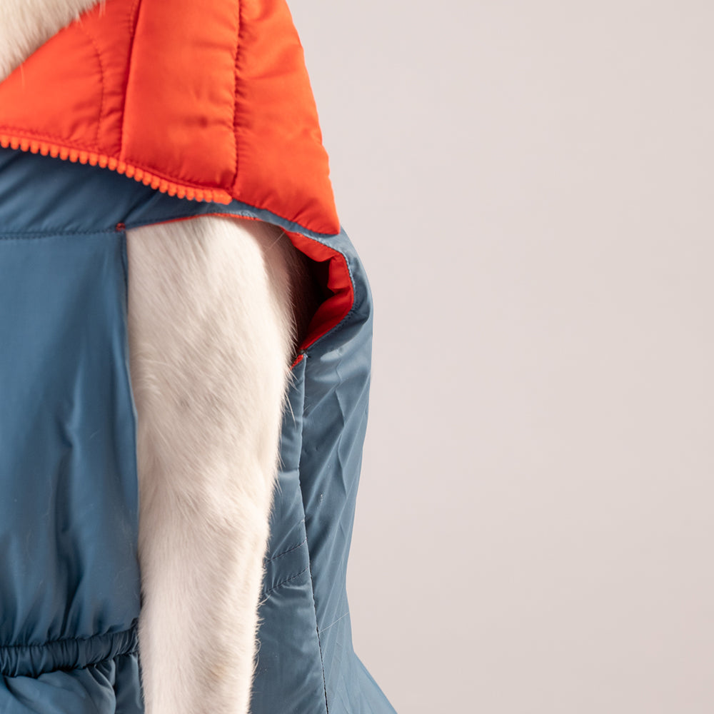 HUFT Cosy Pupper Reversible Dog Jacket- Spicy Orange - Heads Up For Tails