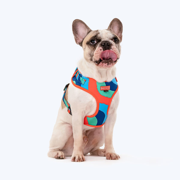 HUFT Wild Waves Adjustable Dog Harness - Heads Up For Tails