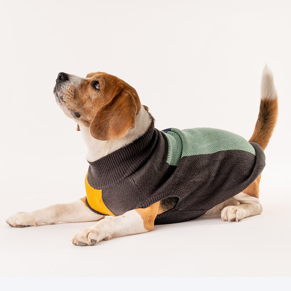 HUFT Winter Snugglers Sweater - Yellow - Heads Up For Tails