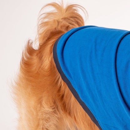 HUFT Polo T-Shirt For Dog - Blue - Heads Up For Tails