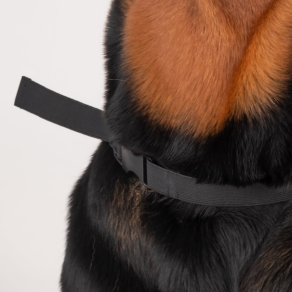 HUFT The Indian Collective Pankti Dog Bandana - Indigo - Heads Up For Tails