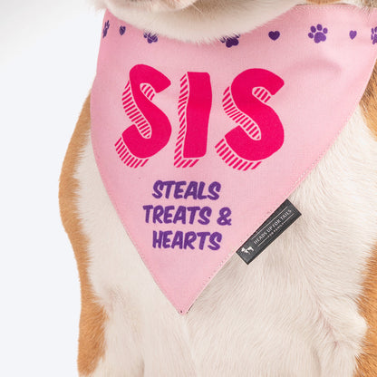 HUFT Sis - Steals Treats & Hearts Dog Bandana - Heads Up For Tails