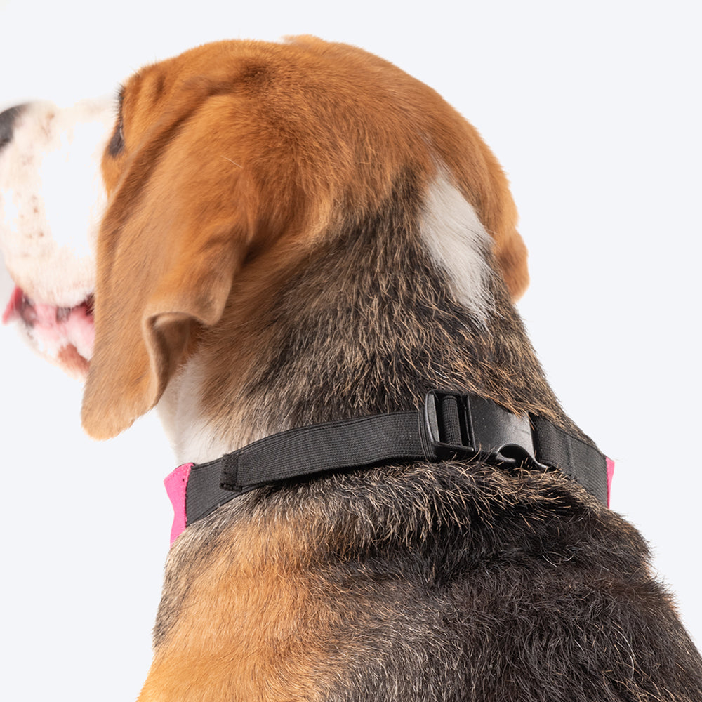 HUFT Sis - Steals Treats & Hearts Dog Bandana - Heads Up For Tails