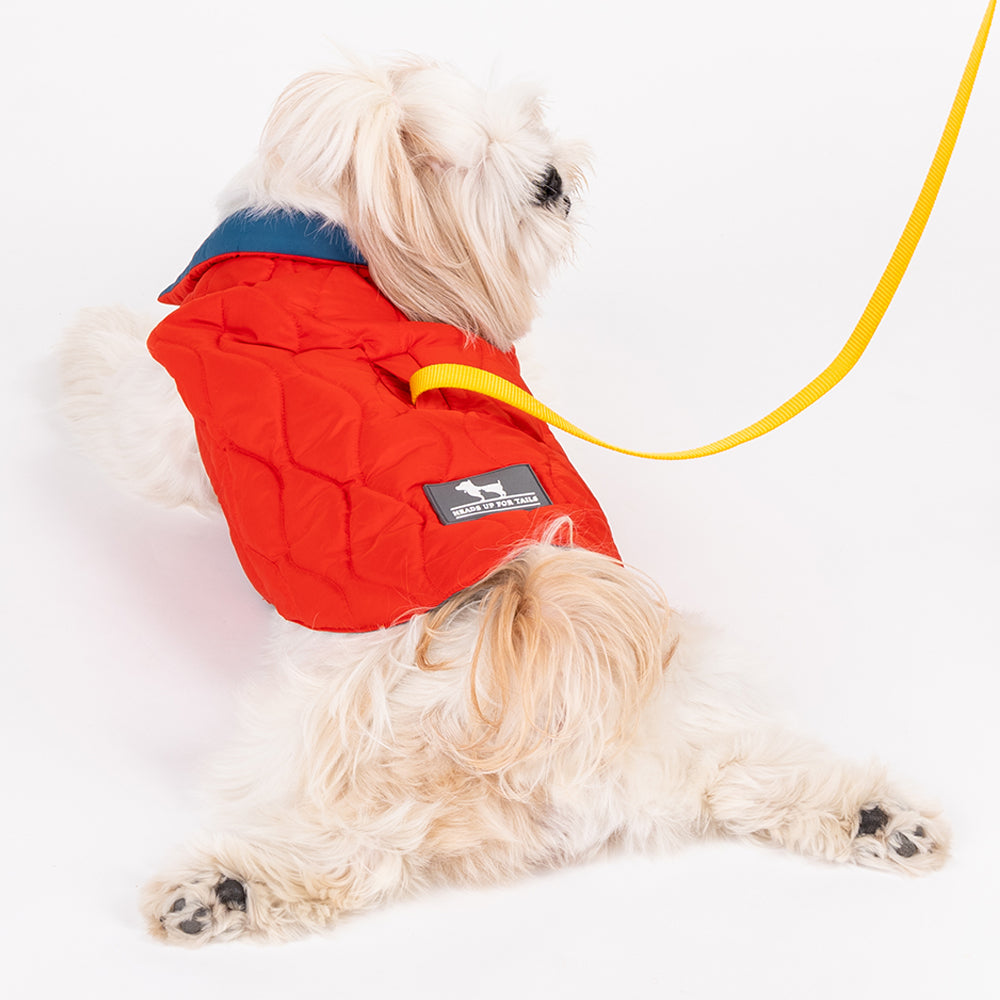 HUFT Cosy Pupper Reversible Dog Jacket- Spicy Orange - Heads Up For Tails