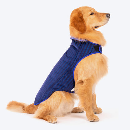 HUFT Wintersong Corduroy Reversible Dog Jacket - Blue - Heads Up For Tails