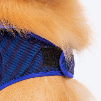 HUFT Wintersong Corduroy Reversible Dog Jacket - Blue - Heads Up For Tails