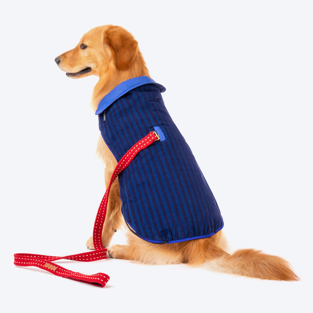 HUFT Wintersong Corduroy Reversible Dog Jacket - Blue - Heads Up For Tails