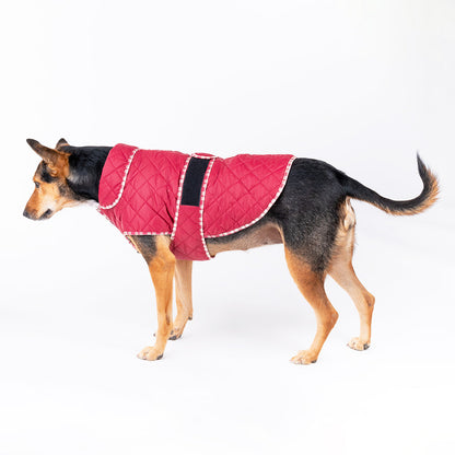 HUFT Grrberry Quilted Dog Jacket- Burnt Red - Heads Up For Tails
