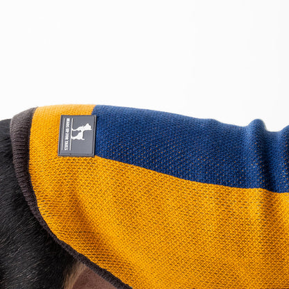 HUFT Winter Snugglers Sweater - Yellow - Heads Up For Tails