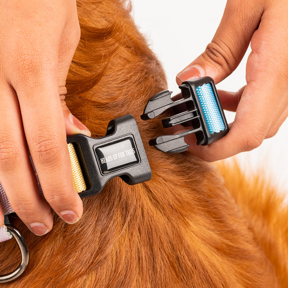 HUFT Nylon Chase the Rainbow Dog H Harness - Heads Up For Tails