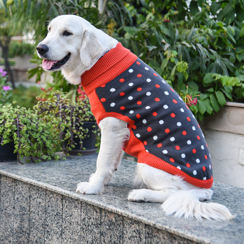 HUFT Polka Dog Sweater - Dotted Dark Grey