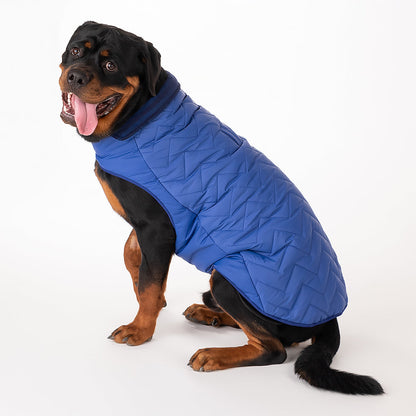 HUFT Wintersong Corduroy Dog Jacket - Blue - Heads Up For Tails