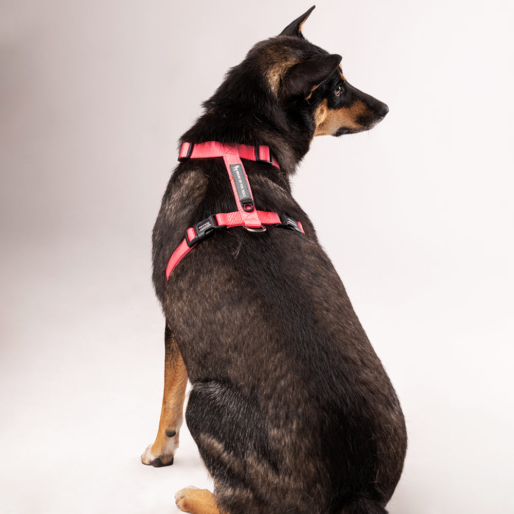 HUFT Essentials Nylon Dog H-Harness - Dark Pink - Heads Up For Tails