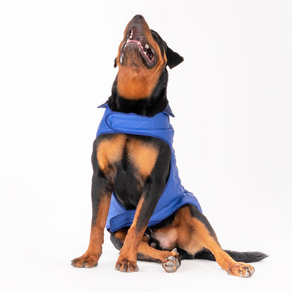 HUFT Wintersong Corduroy Dog Jacket - Blue - Heads Up For Tails