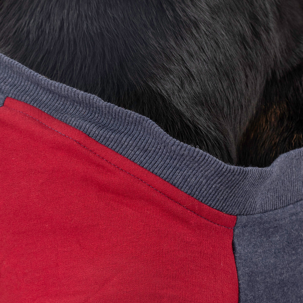HUFT Colour Block Pocket Pet Sweatshirt - Blue Melange and Red - Heads Up For Tails