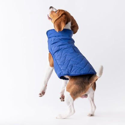 HUFT Wintersong Corduroy Dog Jacket - Blue - Heads Up For Tails