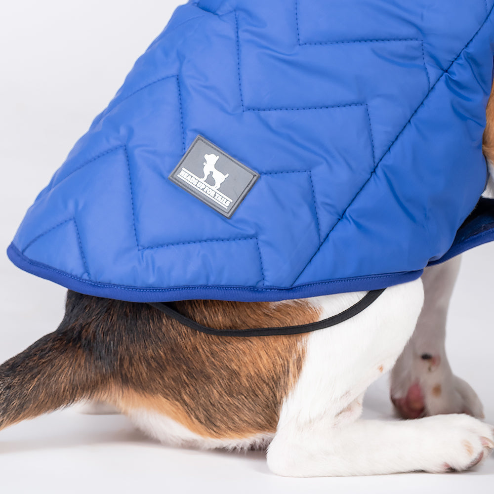 HUFT Wintersong Corduroy Dog Jacket - Blue - Heads Up For Tails