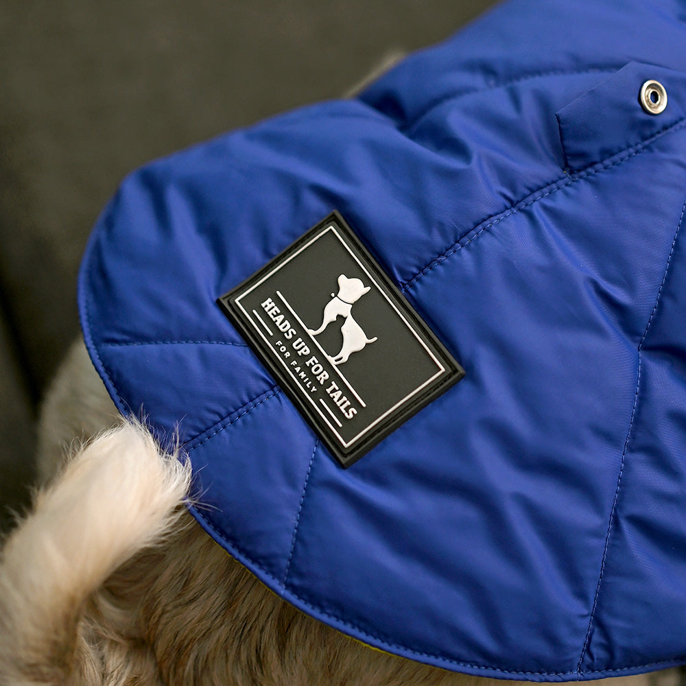 HUFT Cozy Pupper Reversible Dog Jacket - Dark Blue/Green - Heads Up For Tails