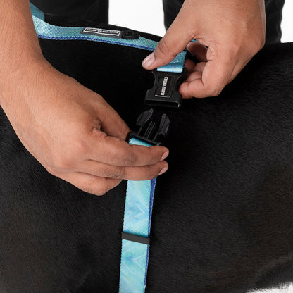 HUFT Nylon Summer Sky Dog H Harness - Heads Up For Tails