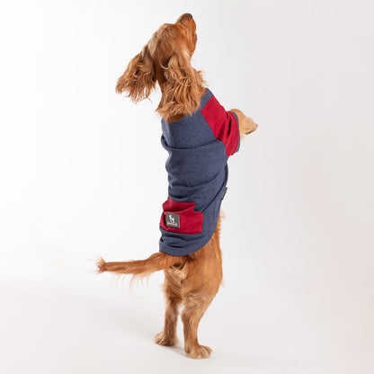 HUFT Colour Block Pocket Pet Sweatshirt - Blue Melange and Red - Heads Up For Tails