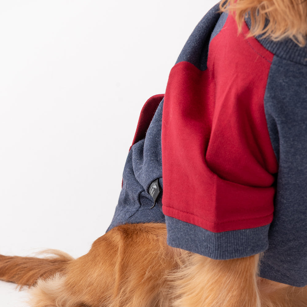 HUFT Colour Block Pocket Pet Sweatshirt - Blue Melange and Red - Heads Up For Tails