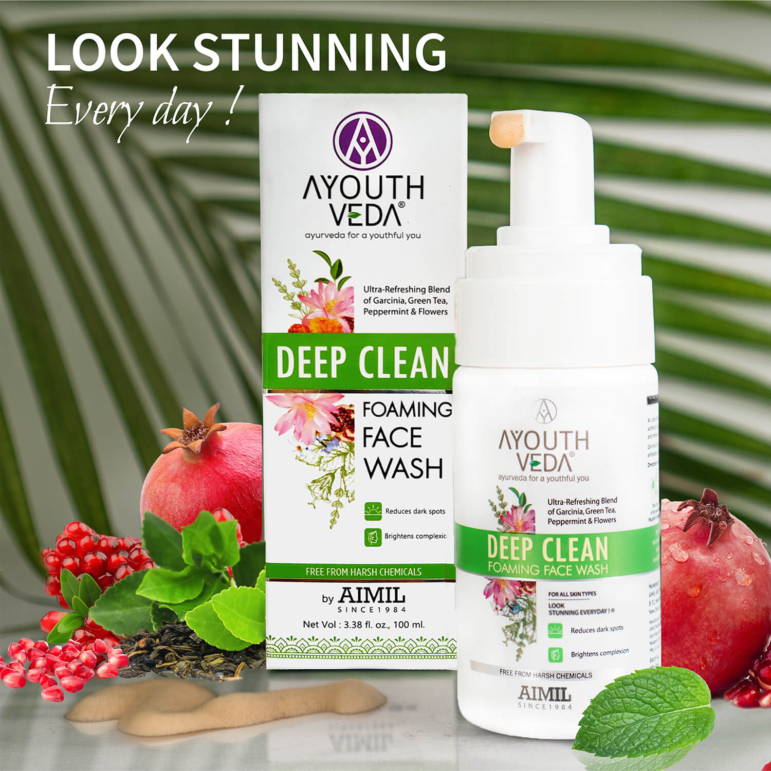 Ayouthveda Deep Clean Foaming Face Wash Pack of 2 (100 ml) Aimil Ayouthveda