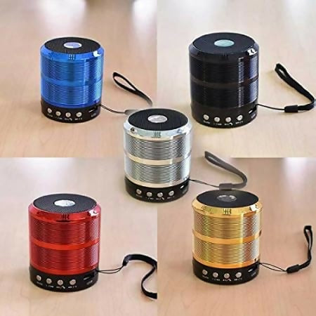 Compact Bluetooth Speaker WS-887 – Multi-Function with FM Radio, USB(Multicolour)
