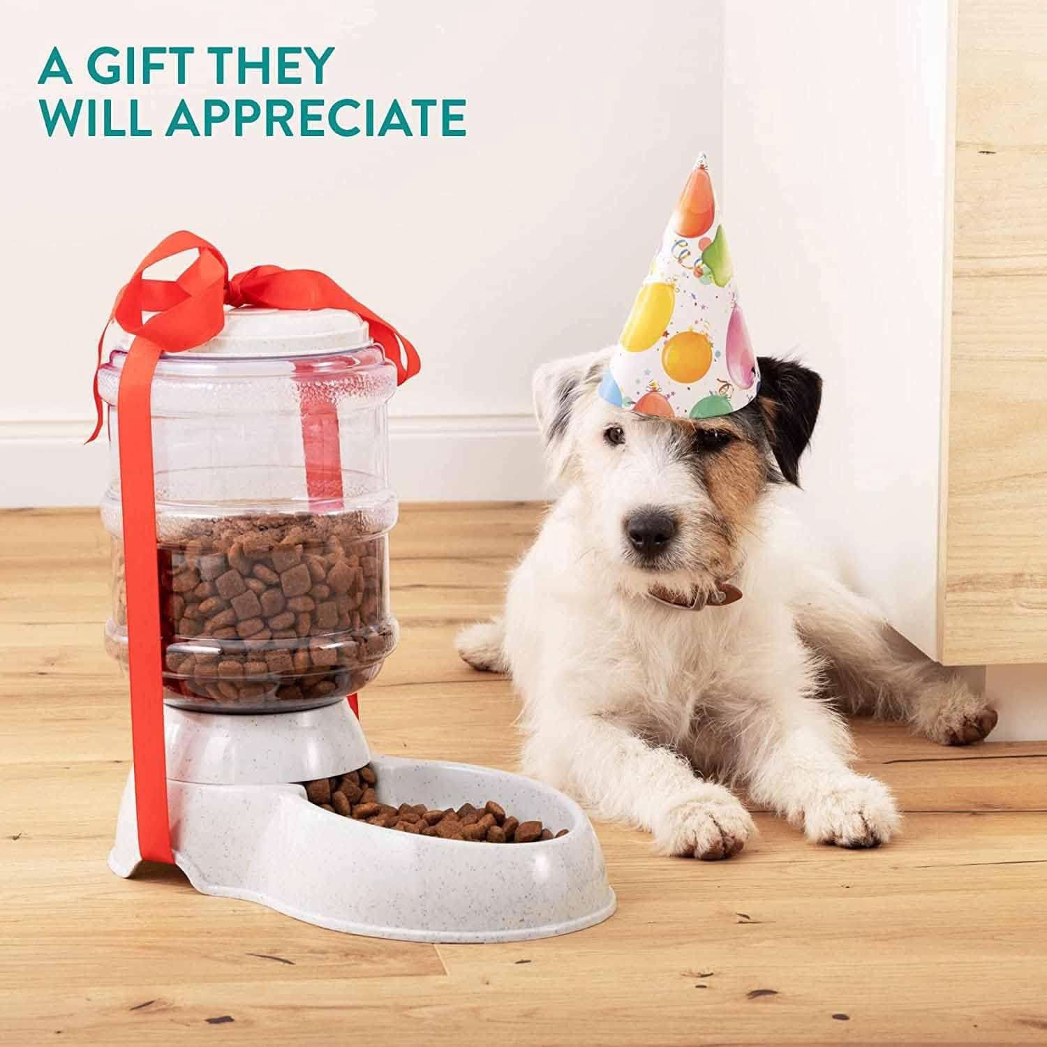 Automatic Pet Feeder Gravity Food Dispenser for Dogs Cats – HalfPe